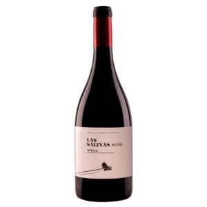 Botella de Las Salinas Beltza 2021 DO.Ca Rioja de Luberri Familia Monje Amestoy